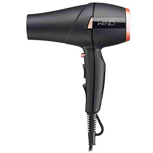 SECADOR PROFESIONAL WIND 2300W